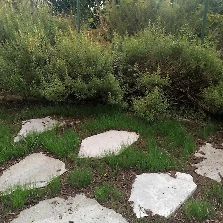 Nonna Paola Apartman