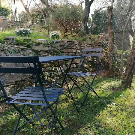 Nonna Paola * Leivi